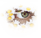 Kaz_Creations Paysage Scenery Eye Eyes Flowers - 免费PNG 动画 GIF