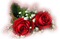 red roses deco rouge rose