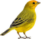 Vogel - gratis png geanimeerde GIF