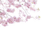 Spring Branch - ücretsiz png animasyonlu GIF