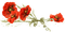 fleur rouge - bezmaksas png animēts GIF