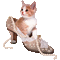 gattino scarpa - GIF animado gratis GIF animado
