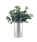 Plante - zdarma png animovaný GIF