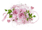 декорцветы - бесплатно png анимированный гифка