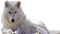 loup ** - 免费PNG 动画 GIF