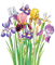 Kaz_Creations Flowers Flower - δωρεάν png κινούμενο GIF