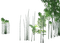 bamboo,tree - ücretsiz png animasyonlu GIF