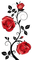 Roses gothiques - PNG gratuit GIF animé