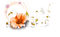 fleur orange.Cheyenne63 - PNG gratuit GIF animé
