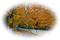 Autumn paysage