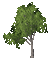 TREE - Darmowy animowany GIF animowany gif