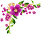 Motyw kwiatowy - δωρεάν png κινούμενο GIF