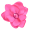 Kaz_Creations Deco Flower  Colours - gratis png animerad GIF