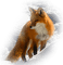 Fuchs - ücretsiz png animasyonlu GIF