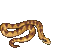 schlange snake - GIF animate gratis GIF animata
