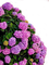 flowers katrin - PNG gratuit GIF animé