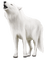 Wolf Winter White - Bogusia - Free PNG Animated GIF