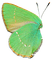 deco fantasy wings png tube kikkapink green - PNG gratuit GIF animé