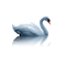swan - ilmainen png animoitu GIF