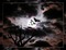 minou-background-fond-dark sky - gratis png animerad GIF