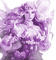 Y.A.M._Fantasy fairy purple - Free PNG Animated GIF