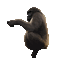 Gorilla - Gratis geanimeerde GIF geanimeerde GIF
