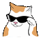 Cool Cat - Zdarma animovaný GIF animovaný GIF