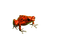 sammakko, frog - 免费PNG 动画 GIF