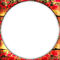 soave frame circle  flowers poppy  red green brown