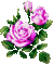 rose, fleur, garden,summer,deko,Pelageya - GIF animé gratuit GIF animé