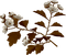 deco flowers anastasia - Free PNG Animated GIF