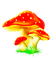fairy mushrooms