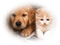 patymirabelle chien et chat - png grátis Gif Animado