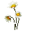 Flores - 無料のアニメーション GIF アニメーションGIF