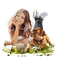 flicka-hund-gräs - 免费PNG 动画 GIF