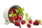 flower,fruit, strawberry,cup - δωρεάν png κινούμενο GIF