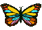 Papillon ** - Ingyenes animált GIF animált GIF
