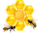 Honey Bee - Bogusia - безплатен png анимиран GIF