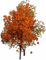 ARBOL - Free PNG Animated GIF