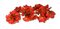 fleur rouge.Cheyenne63 - png gratis GIF animasi