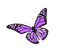 dolceluna spring butterfly purple deco summer png - gratis png animeret GIF