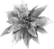 Christmas.Flower.Silver - bezmaksas png animēts GIF