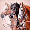 pferde horse milla1959 - Бесплатный анимированный гифка анимированный гифка