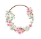 Circle Flower frame