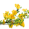 FLOWERS - besplatni png animirani GIF