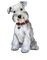 Kaz_Creations Dogs Dog Pup 🐶 - png gratis GIF animasi