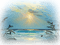 paysage mer
