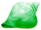 Seashell.Green - png gratis GIF animado