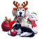 Christmas. Dog. Cat. Winter. Leila - ilmainen png animoitu GIF