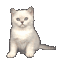 Кот - Darmowy animowany GIF animowany gif